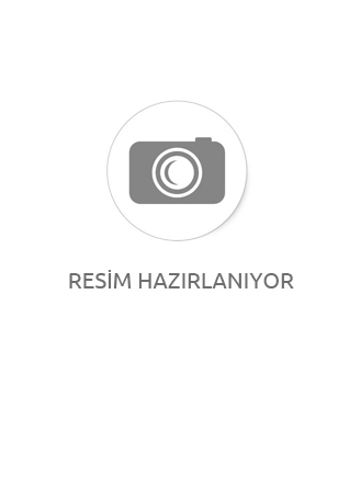 The Last of Us Part II : ABBY FİGÜR